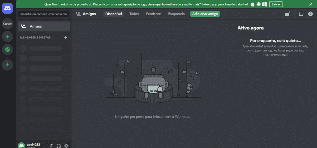 Tela do Discord aberta