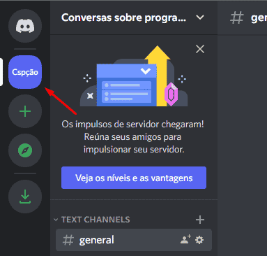 Selecionando o servidor no Discord