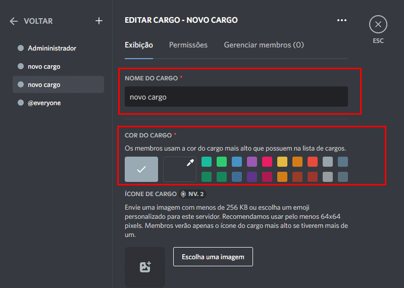 Dar o nome do cargo, cor e personalizá-lo