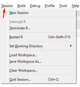 Todas as opções da função session no R Studio