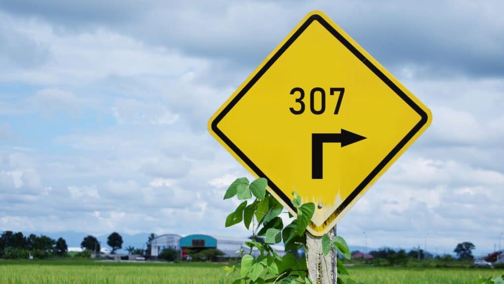 Imagem ilustrativa do código 307, mostrando uma placa de trânsito com o número 307 e uma seta para o lado