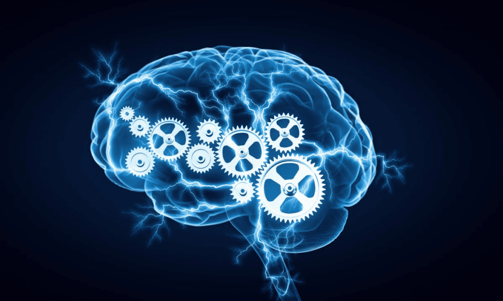 Psicologia cognitiva Arquitetura da Informação