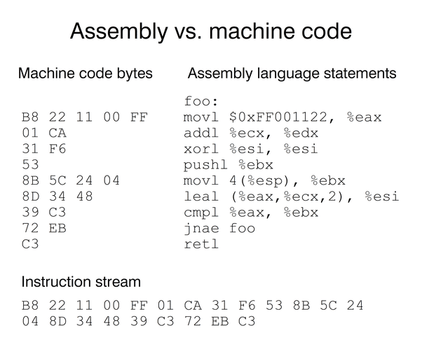 Assembly linguagem backend