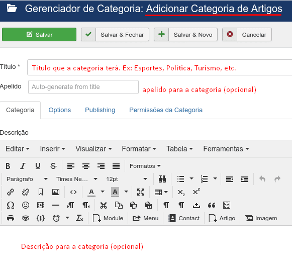 Adicionando categorias de artigos