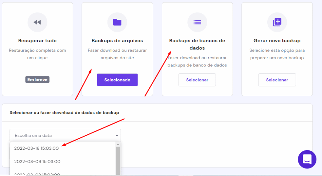 Selecionando Backup de arquivos e banco de dados